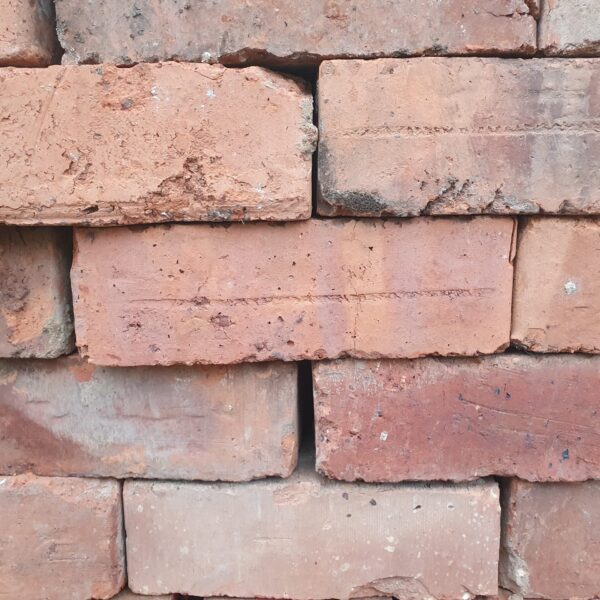 Orange Wire Cut House Bricks