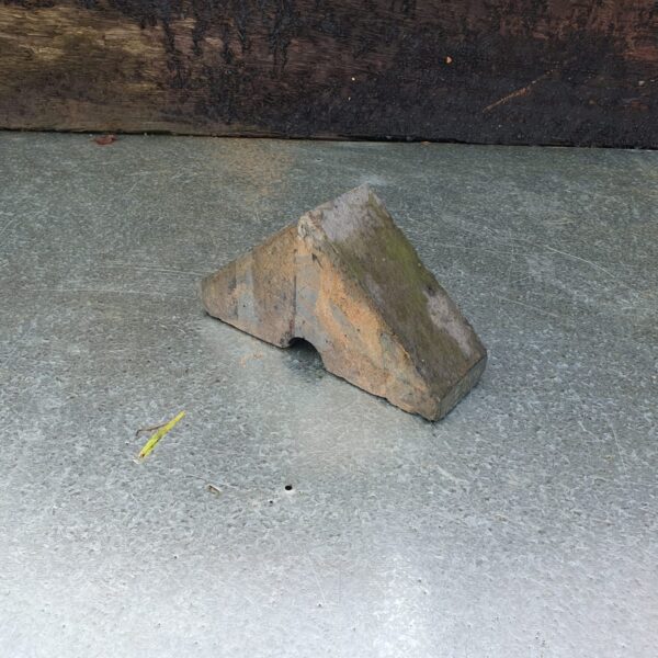 Staffordshire Blue Apex Coping