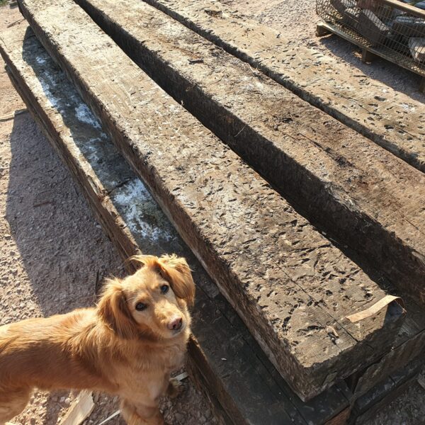 Railway Sleepers