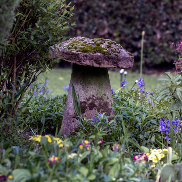 Staddle Stone/ Stone Mushroom