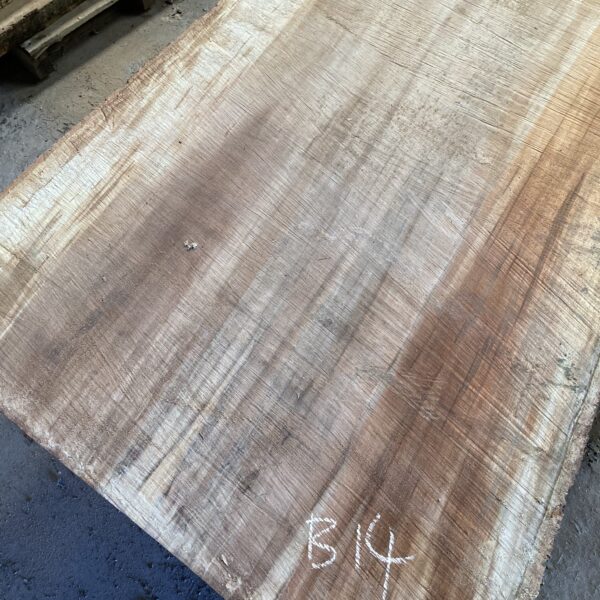 Live Edge Board B14
