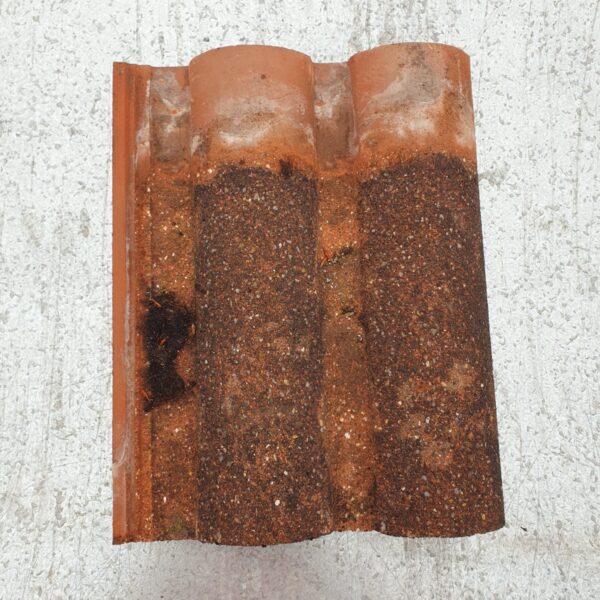 Marley Bold Roll
